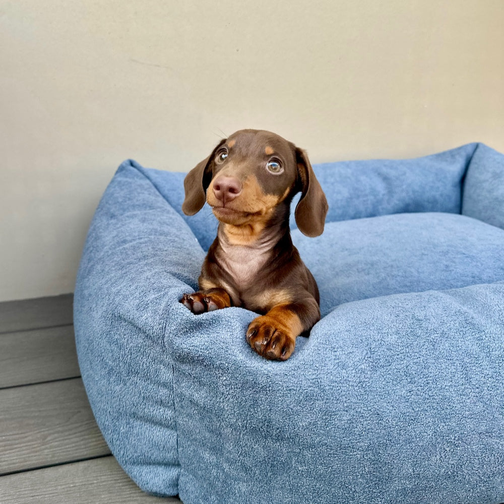 Cama para perros de borrego Nube