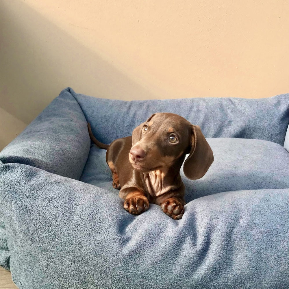 Cama para perros de borrego Nube
