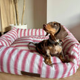 Load image into Gallery viewer, Cama para perros Impermeable Corfú