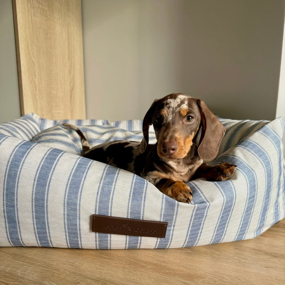Cama para perros Impermeable Creta