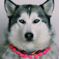 Load image into Gallery viewer, Ikal Collar Modelo 2