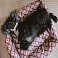 Cargar la imagen en la vista de la galería, Cama para perros Impermeable Ikat Burdeos
