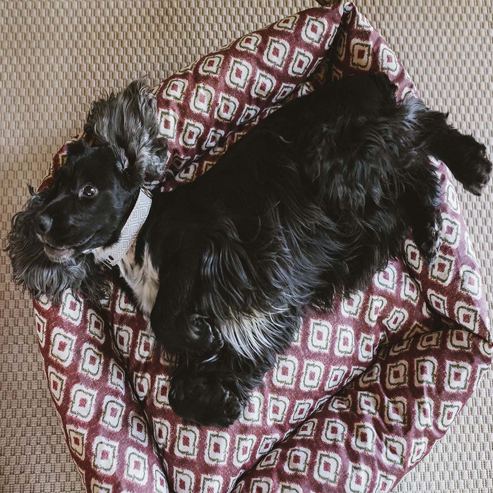 Cama para perros Impermeable Ikat Burdeos