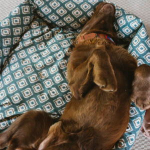 Cama para perros impermeable Ikat Verde