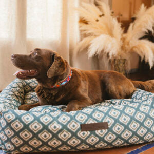 Cama para perros impermeable Ikat Verde