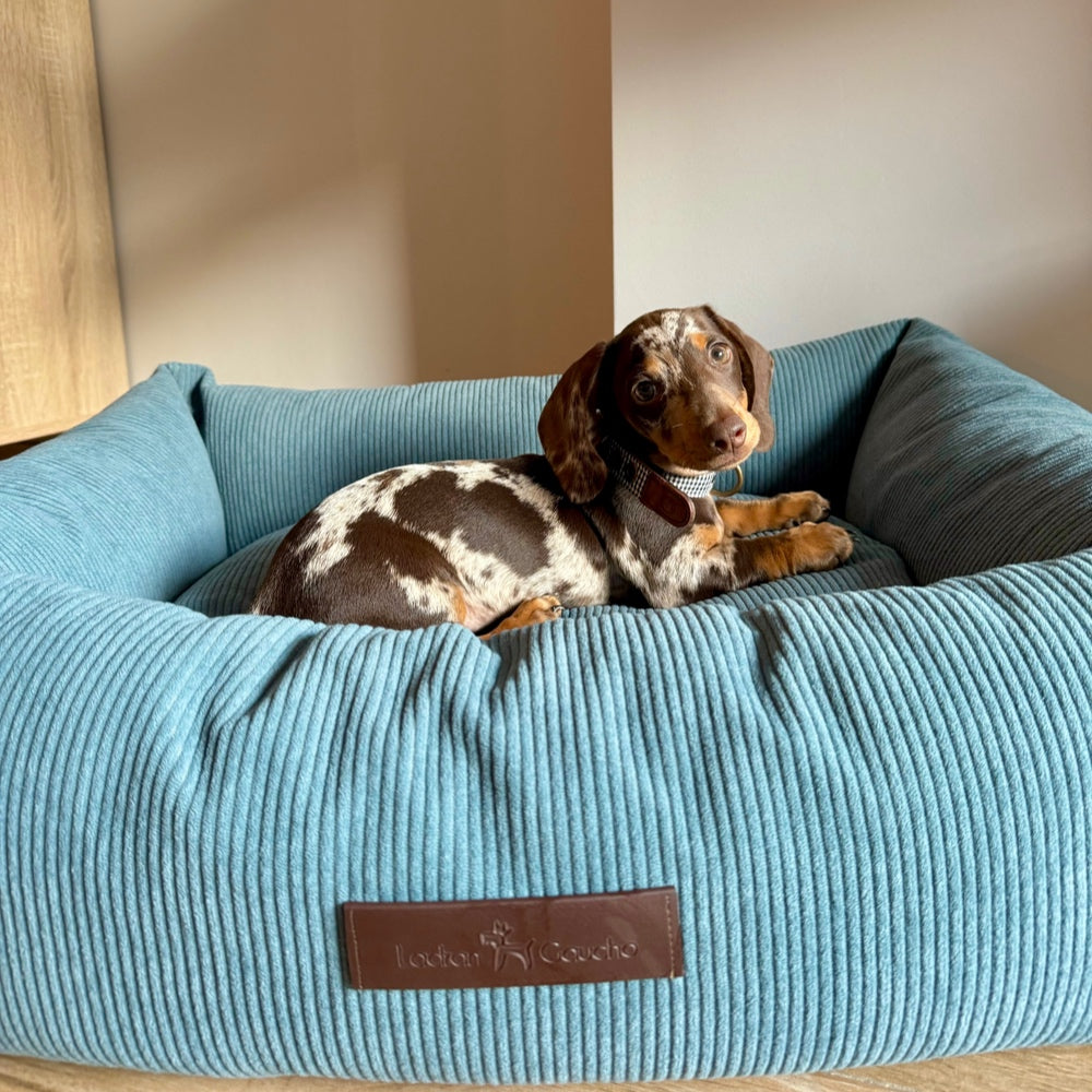 Cama de pana para perros Nube