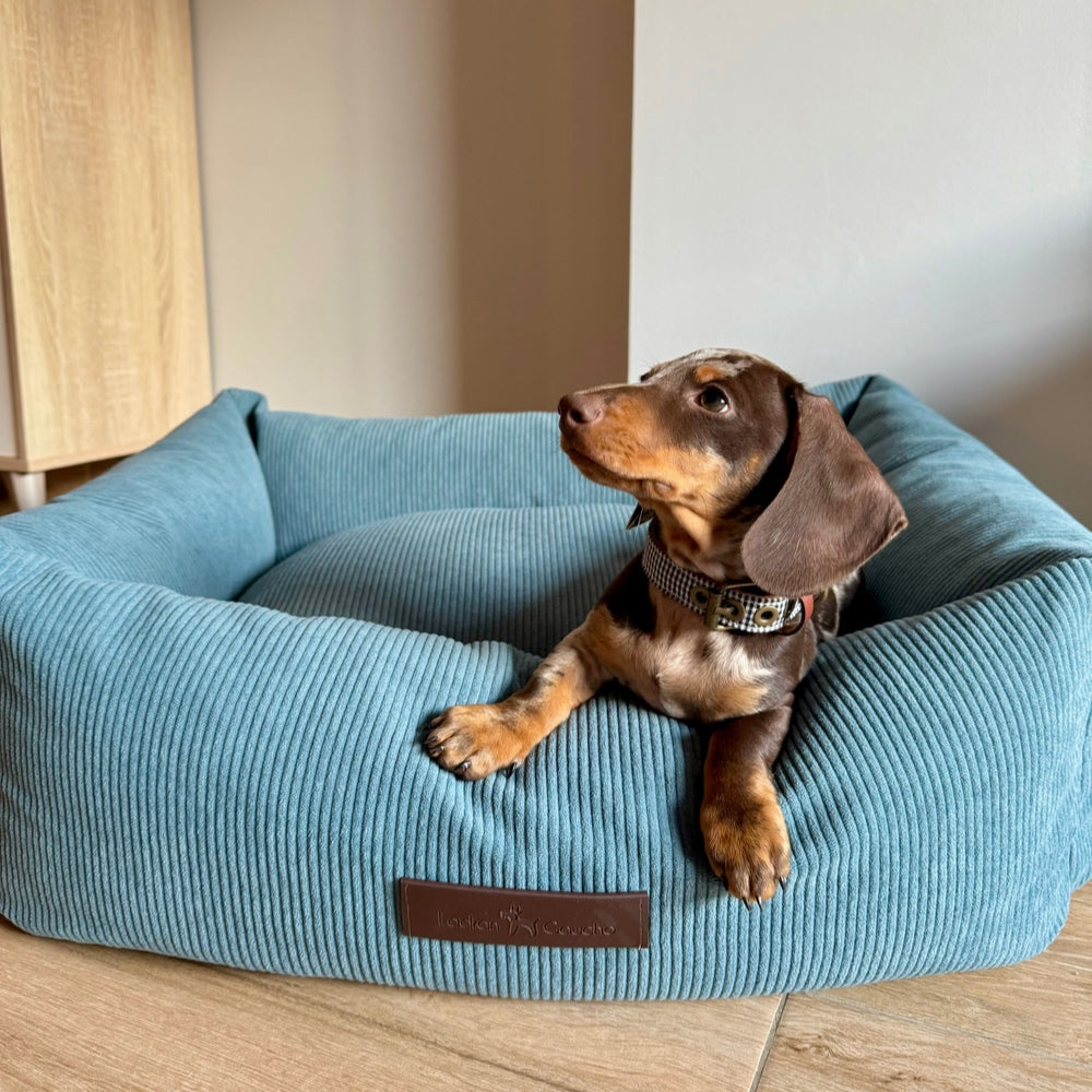 Cama de pana para perros Nube
