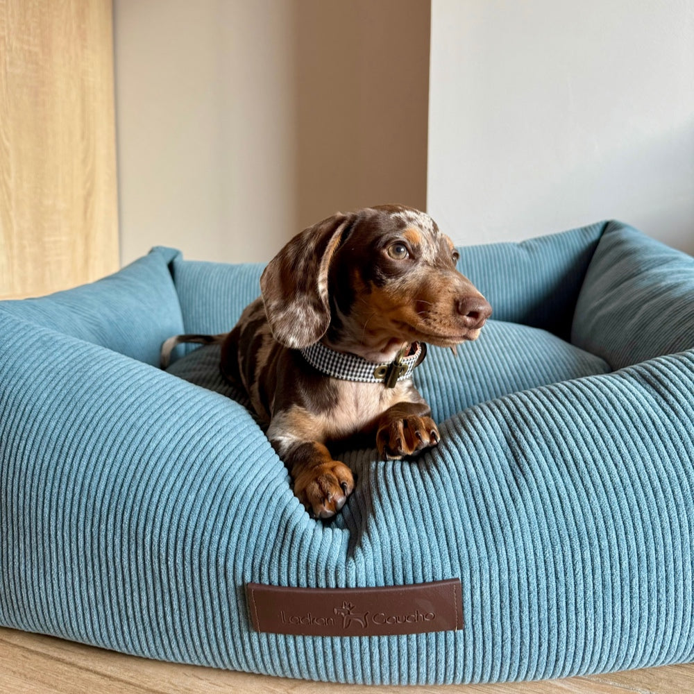 Cama de pana para perros Nube