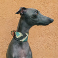 Load image into Gallery viewer, Pluto Collar Galgo Modelo 1