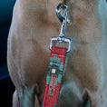 Load image into Gallery viewer, Scooby Cinturón de seguridad + collar 3