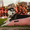 Cargar la imagen en la vista de la galería, Cama para perros Impermeable Vichy Rojo