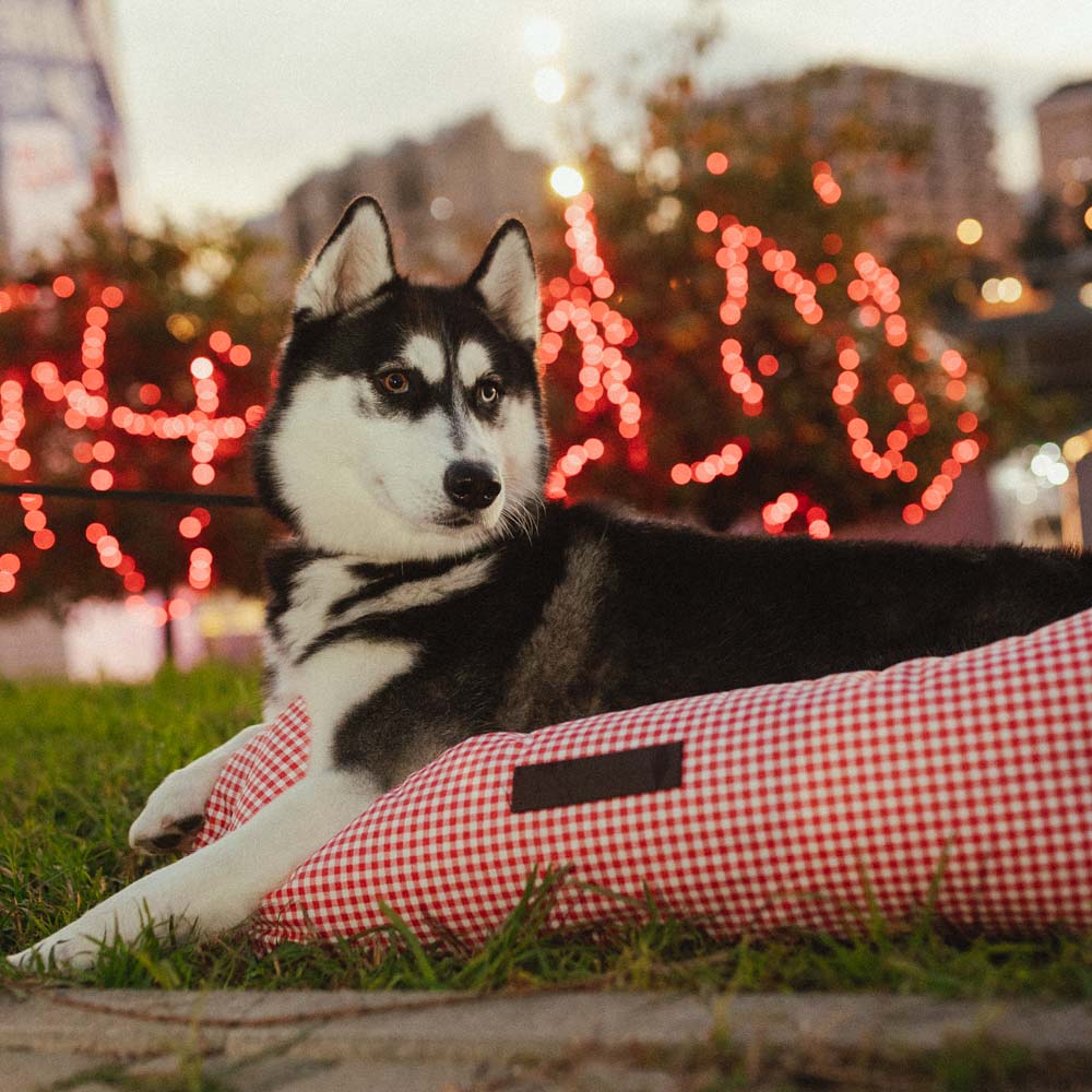 Cama para perros Impermeable Vichy Rojo