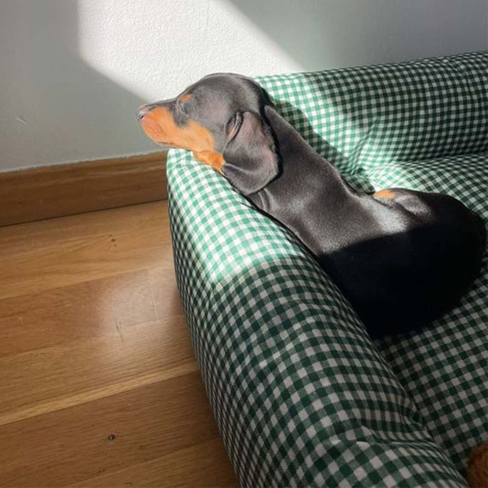 Vichy Verde Modelo 3