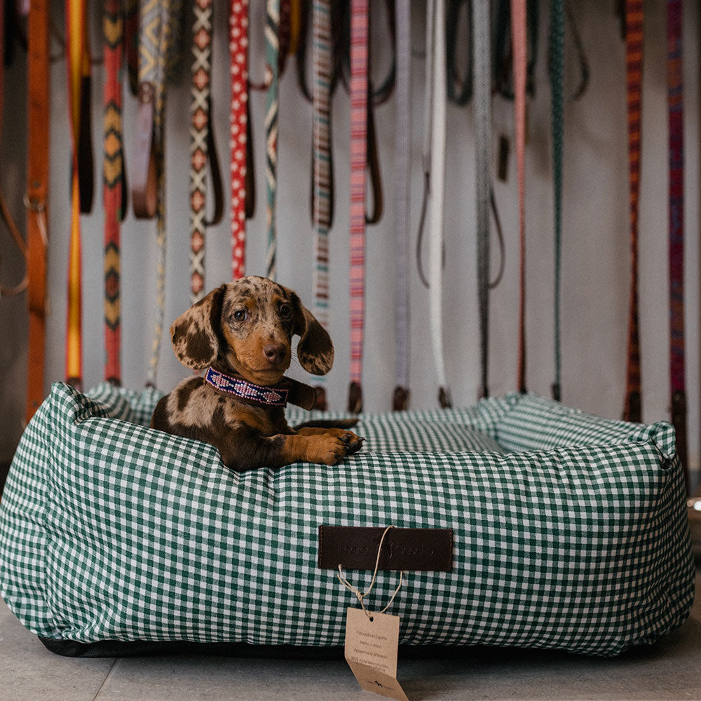 Vichy verde modelo 1