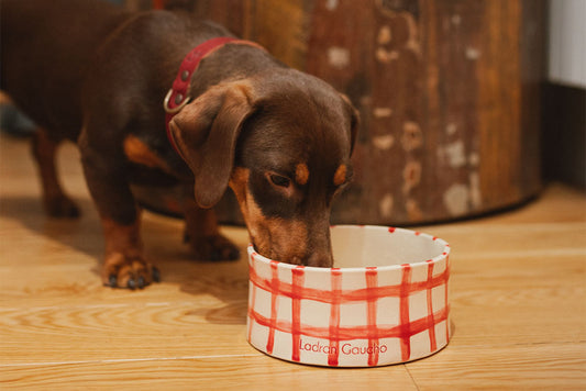 Alimentos prohibidos para tu mascota