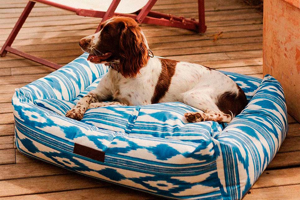 Consejos para cuidar a tu perro en verano