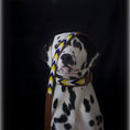 Load image into Gallery viewer, 1138FE27-D7D9-4B9F-BC38-0AF2A3BE9533-3
