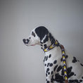 Load image into Gallery viewer, BBA4C895-4929-492A-A438-F4574D65D221
