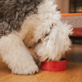 Load image into Gallery viewer, Bowl Rojo Modelo 1
