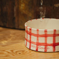 Load image into Gallery viewer, Bowl Vichy Rojo 3
