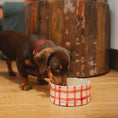 Load image into Gallery viewer, Bowl Vichy Rojo Modelo 1
