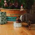 Load image into Gallery viewer, Bowl Vichy Verde Modelo 1
