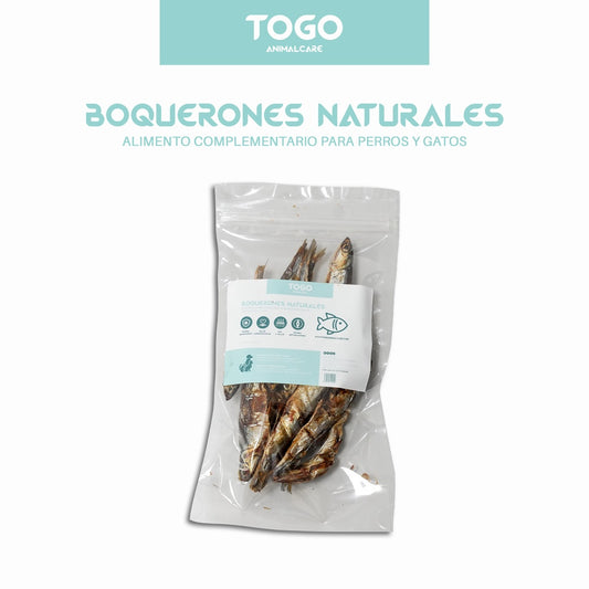 CREATIVO BOQUERONES 1 (3)