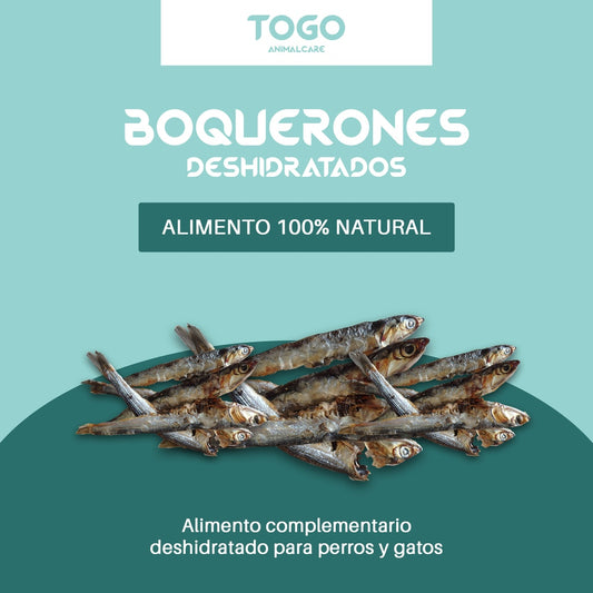 CREATIVO BOQUERONES 2