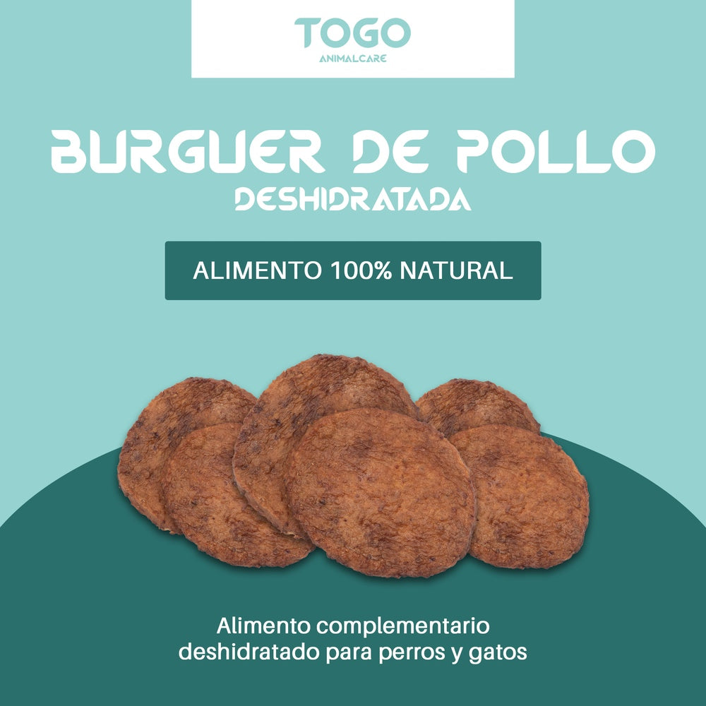 CREATIVO BURGUER 2