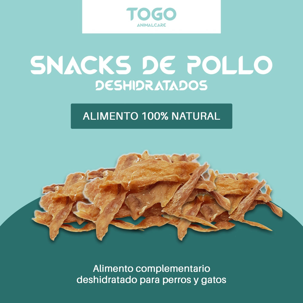 CREATIVO POLLO 2