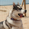 Load image into Gallery viewer, Camerún collar – Modelo
