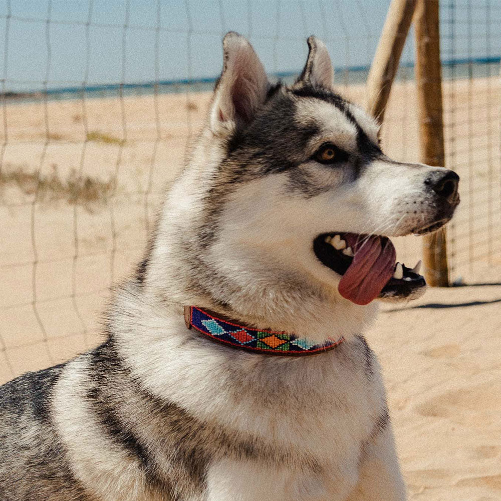 Camerún collar &#8211; Modelo