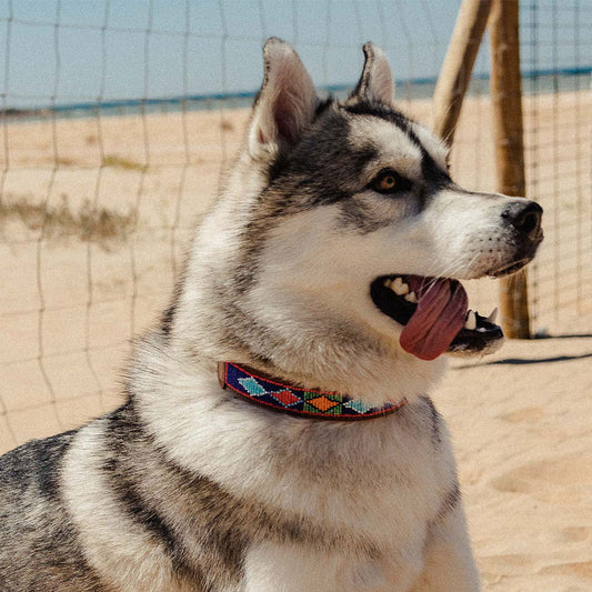 Camerún collar &#8211; Modelo