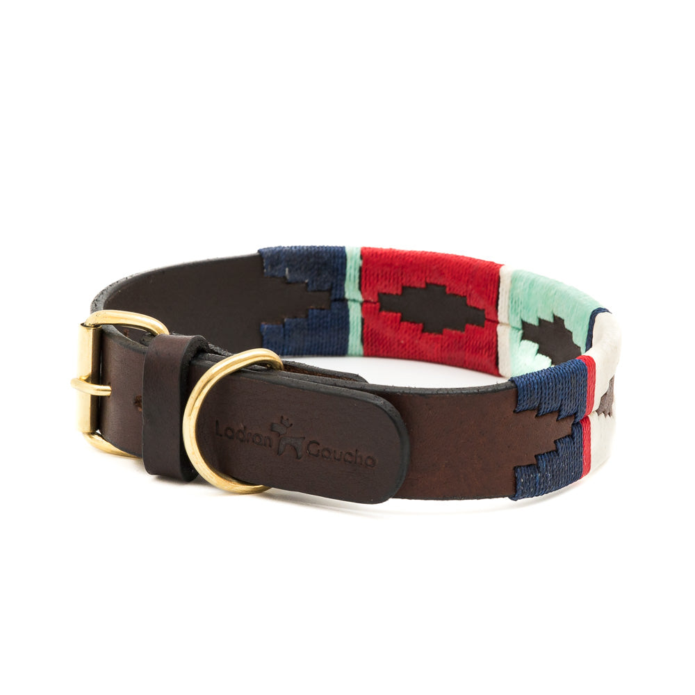 Capi Collar 2