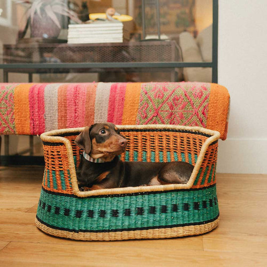 Cesta simba modelo 1