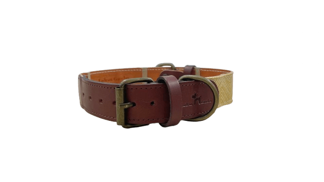 Collar amarillo 1