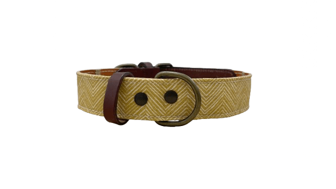 Collar amarillo 2 PNG