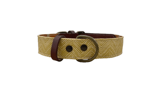Collar amarillo 2 PNG