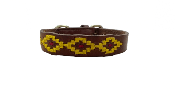 Collar argentina amarillo 2