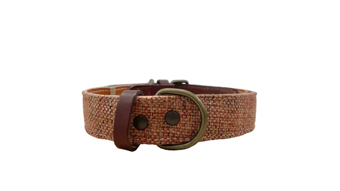 _Collar naranja 1 PNG