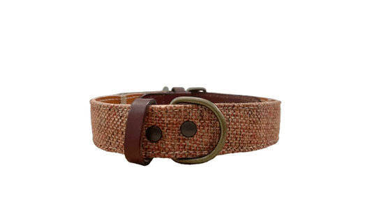 _Collar naranja 1 PNG