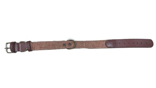 Collar naranja 3