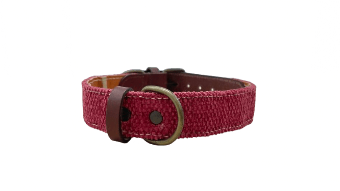 Collar rojo 1 PNG