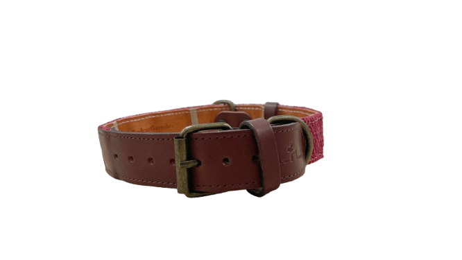 Collar rojo 2