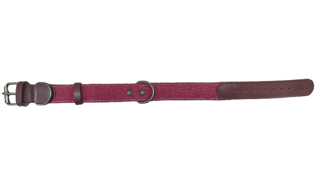 Collar rojo 3