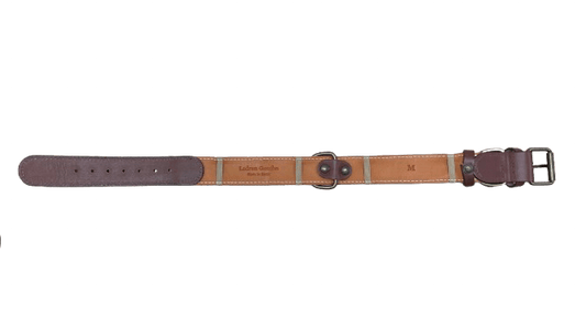 Collar rojo 4
