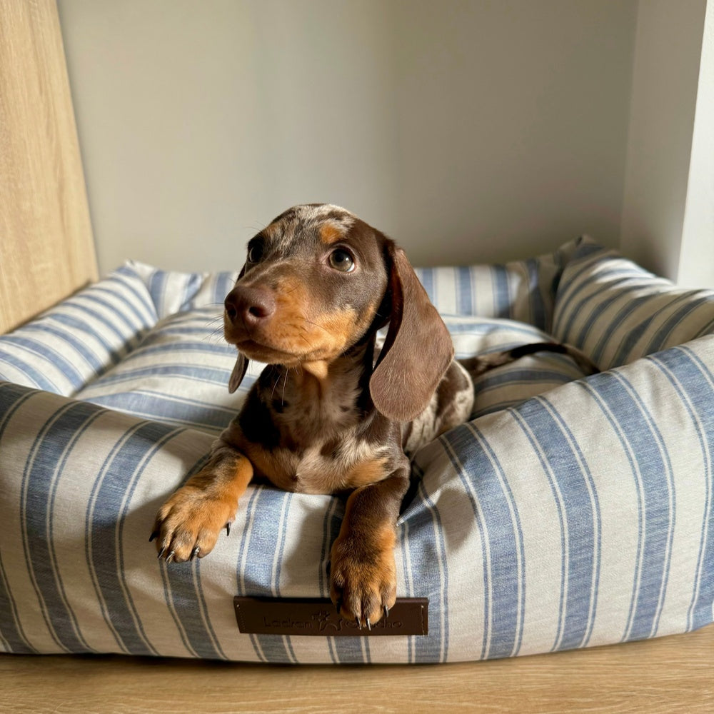 Crete Wasserdichtes Hundebett