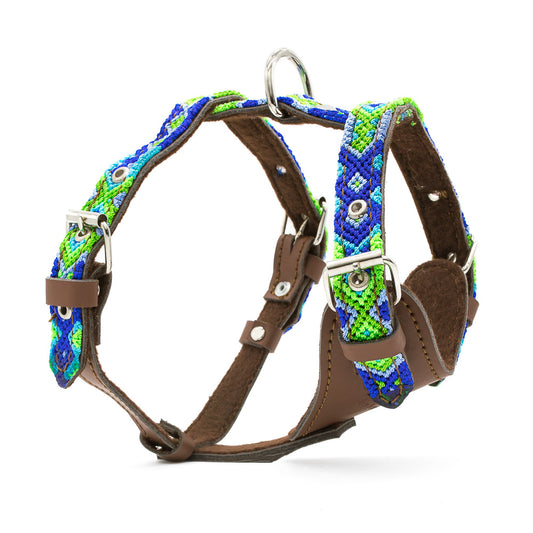 Cuate dog harness