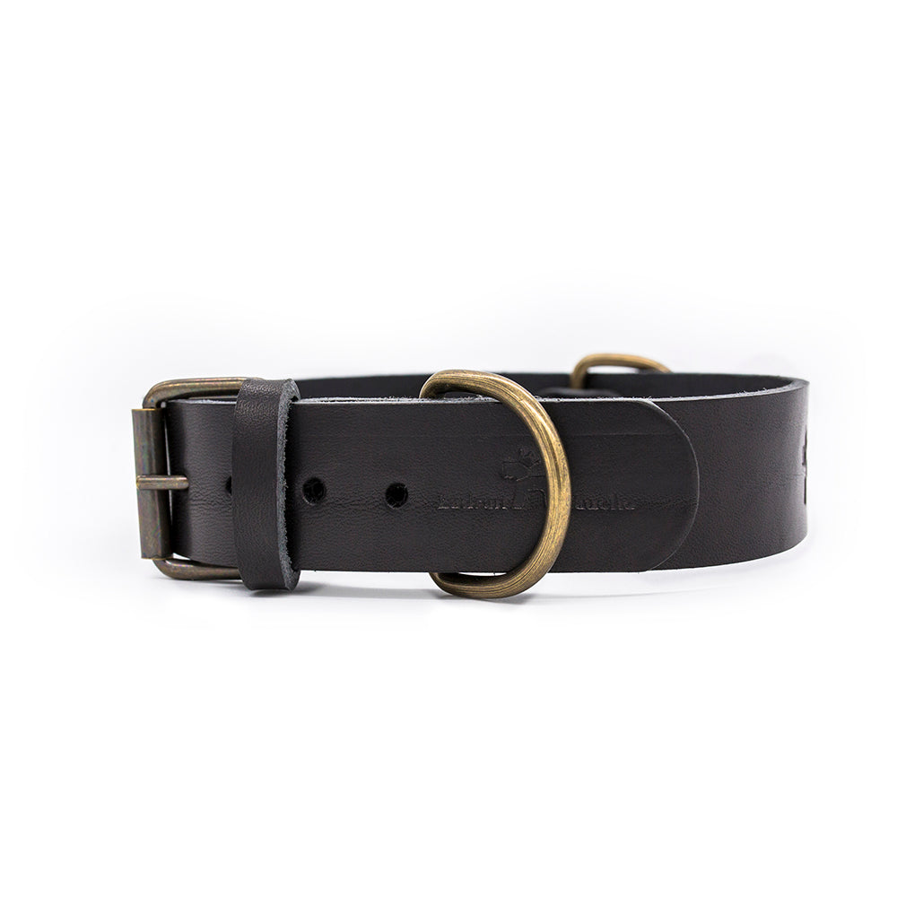Cuero Premium Collar Negro 3