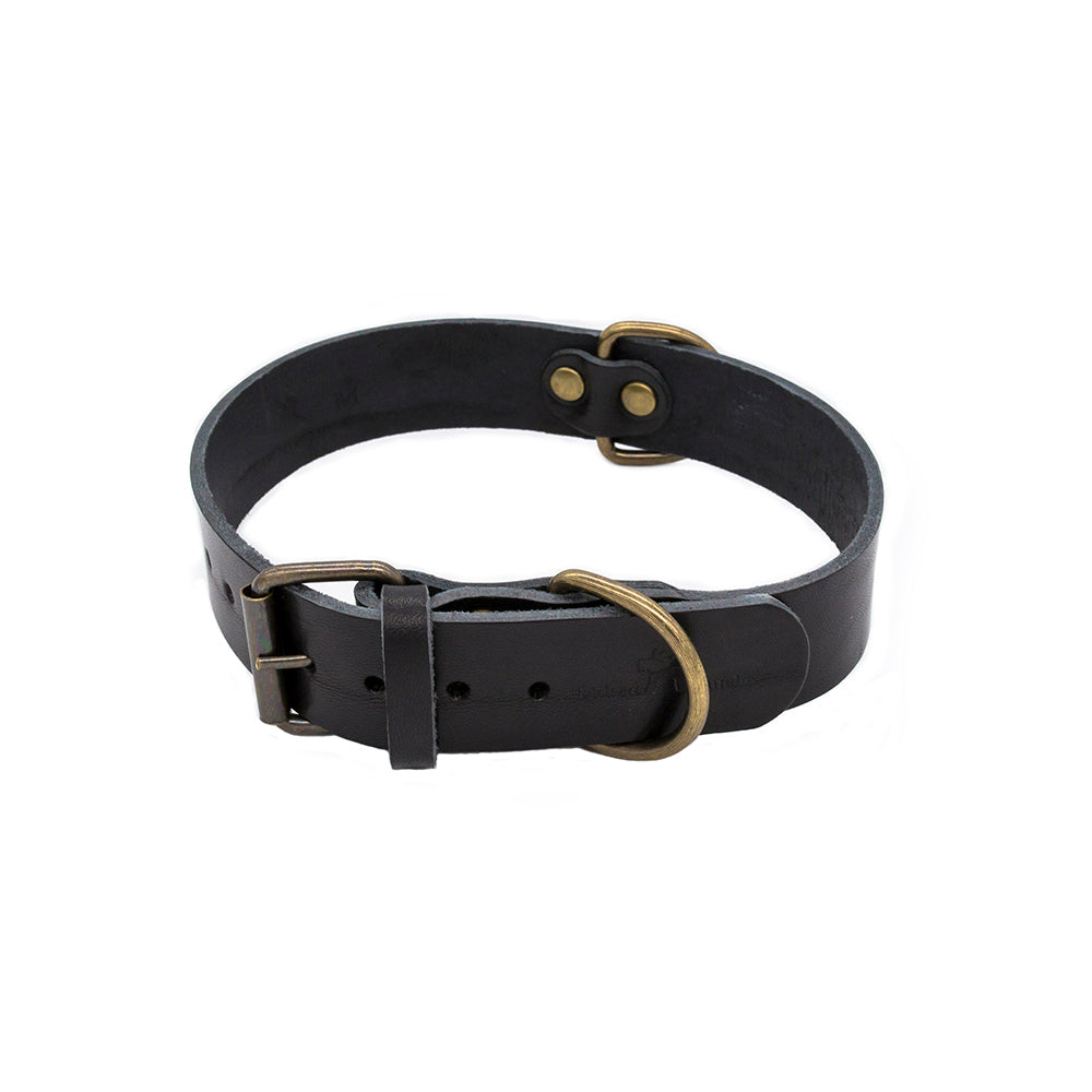 Cuero Premium Collar Negro 4